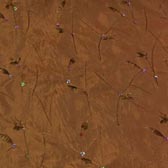 Flitteres hímzett taft - OLD GOLD  